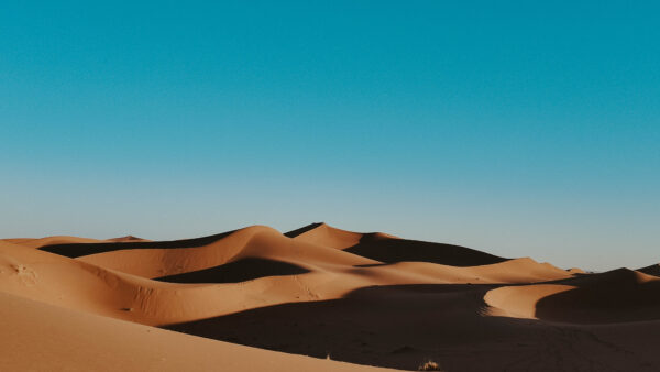 Dünen in der Sahara