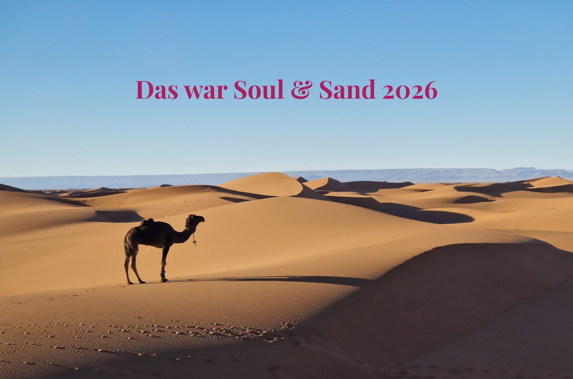 Dünen und Kamel - Titelbild "Das war Soul & Sand 2026"